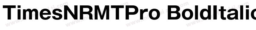 TimesNRMTPro BoldItalic(OTF)字体转换